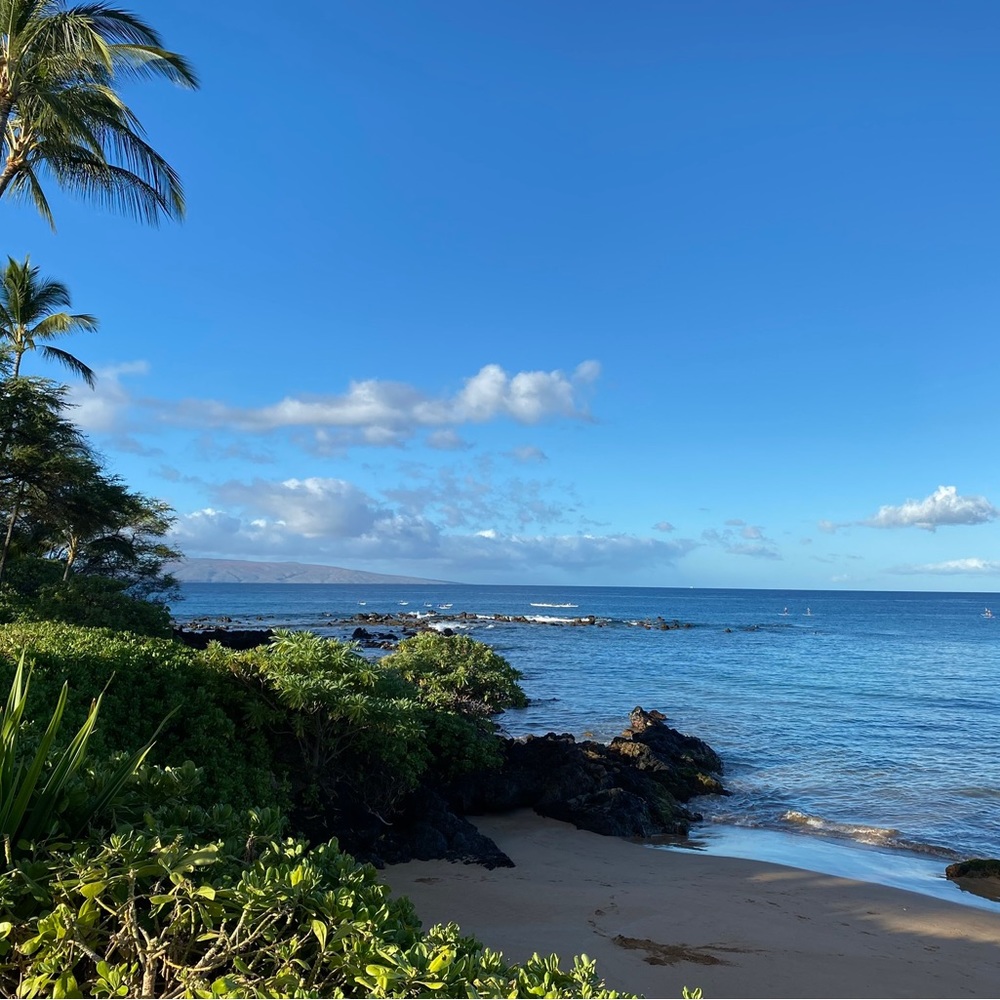 Meet your Posher, Morgan